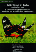 Butterflies Of Sri Lanka and Southern India