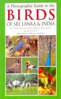 A Photographic Guide to the Birds of Sri Lanka and India