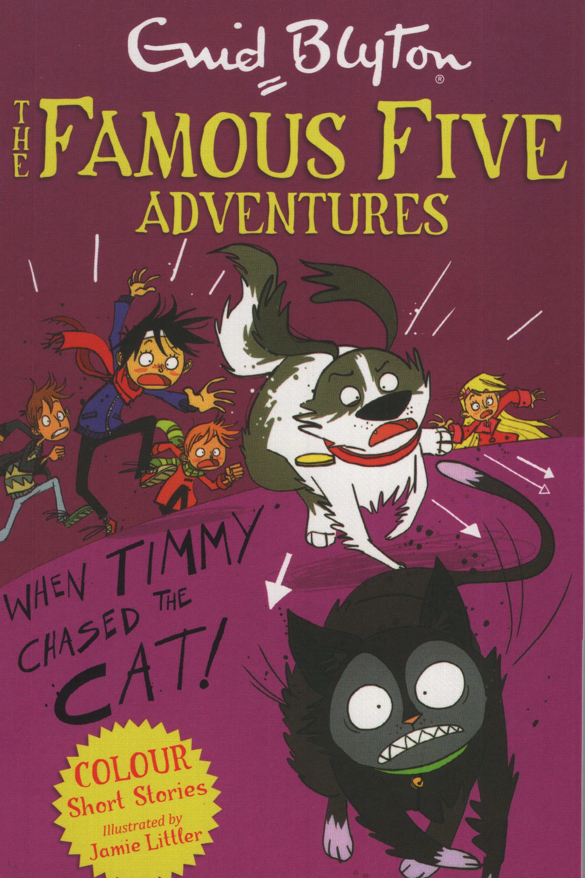 The Famous Five Adventures When Timmy Chased The Cat