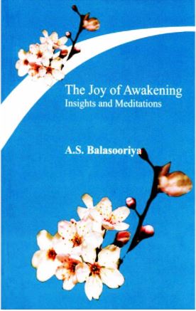 The Joy Of Awakening ( Insights and Meditations ) 