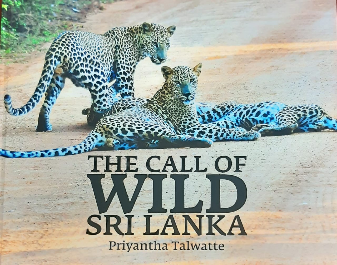 The Call of Wild Sri Lanaka