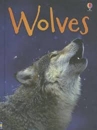 Usborne Beginners Wolves