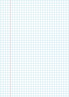 Square Ruled Paper 1 Each