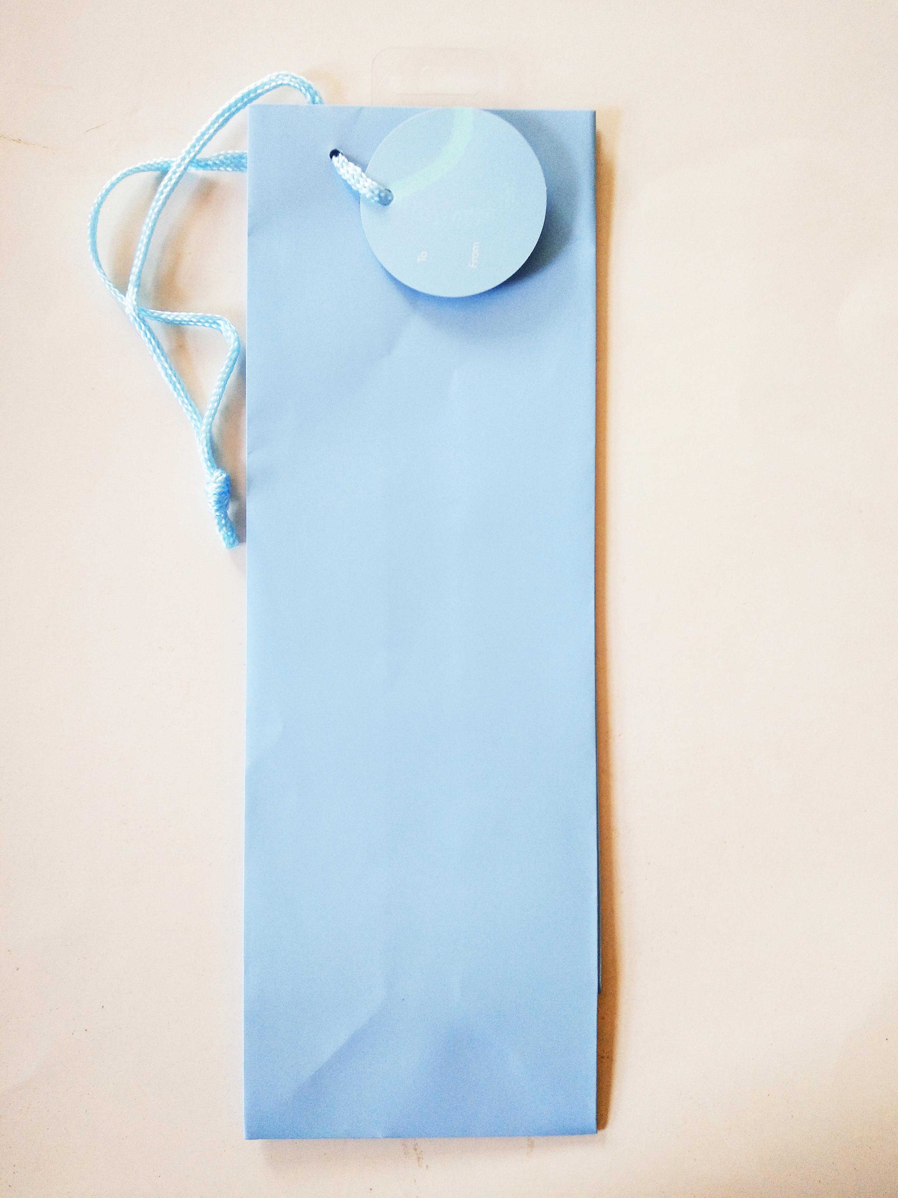 Pale Blue Bottle Bag