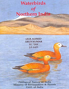 Water Birds Of Northern India