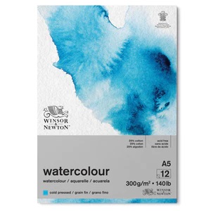 Winsor & Newton Water colour Pad Cold 300gsm 12sheet 
