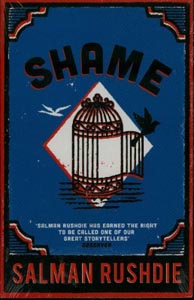 Shame A Novel