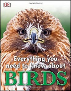 Everything You Need to Know About Birds