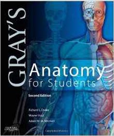 Grays Anatomy for Students