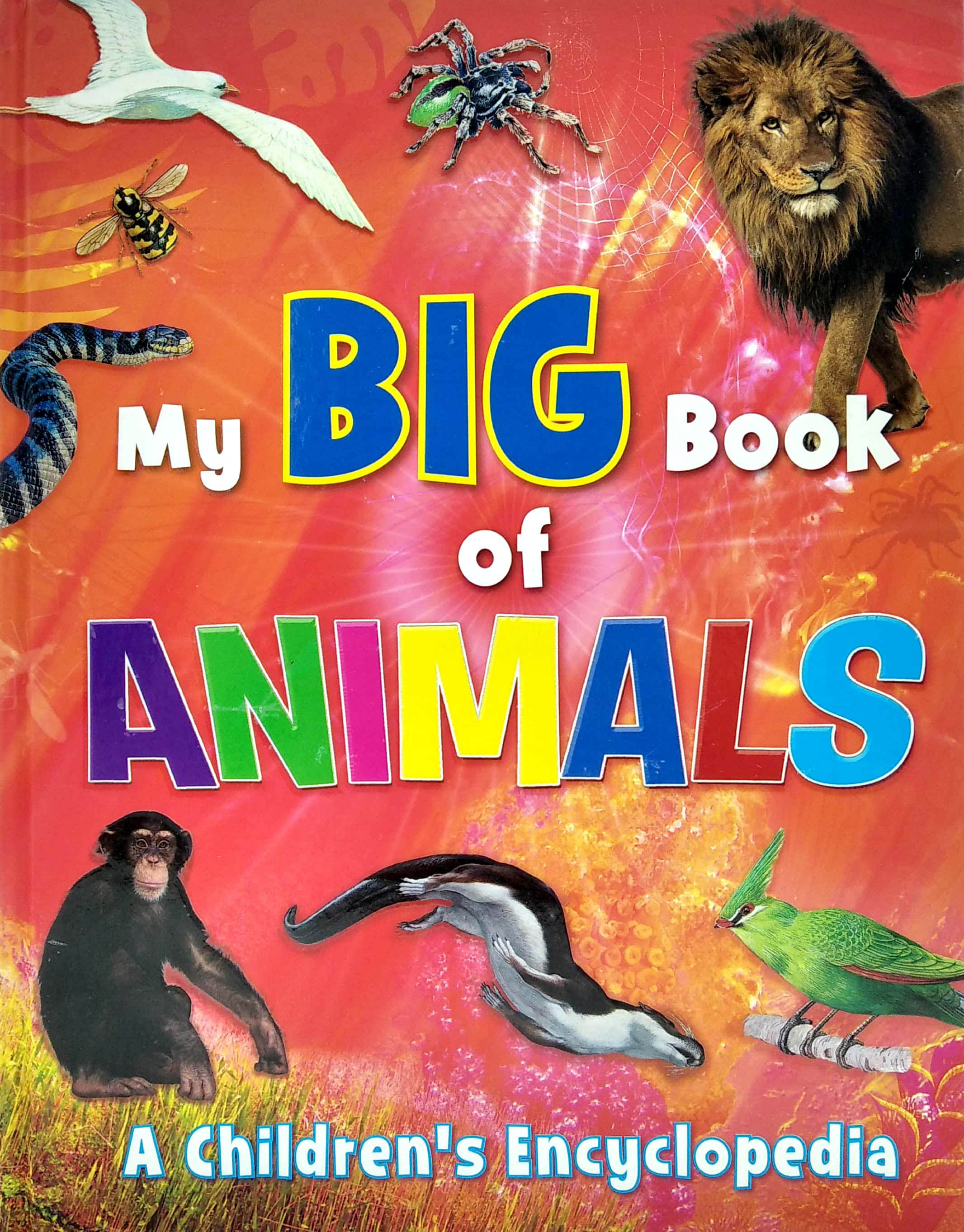 My Big Book of Animals A Childrens Encyclopedia