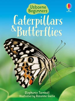 Usborne Beginners Caterpillars and Butterflies