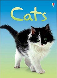 Cats (Beginners)