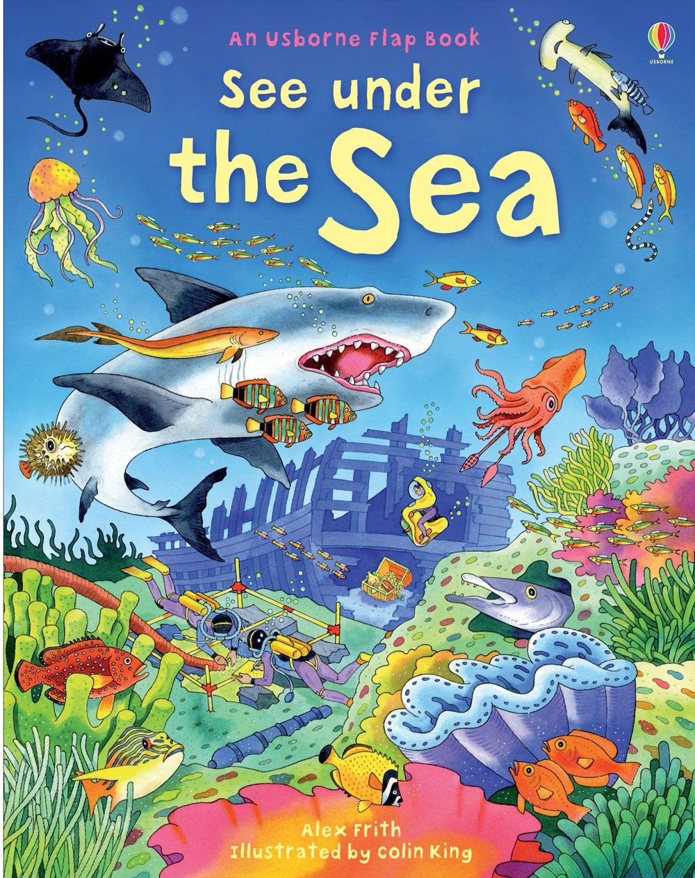 An Usborne Flap Book  Under the Sea