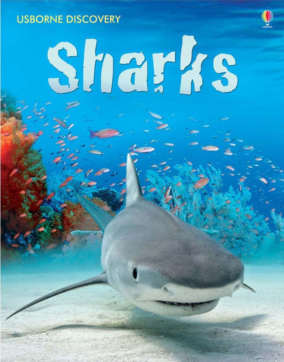 Usborne Discovery Sharks