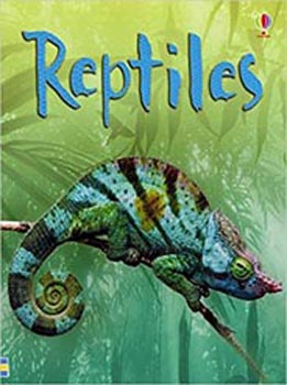 Usborne Beginners Reptiles