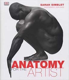 Anatomy for The Artist