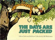 Calvin and Hobbes : The Days are Just Packed