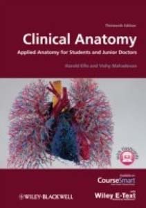 Clinical Anatomy