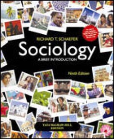 Sociology : A Brief Introduction
