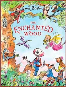 The Enchanted Wood (The Magic Farawe Tree 1)