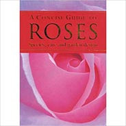 A Concise Guide to Roses