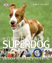 Dk How to Train a Superdog