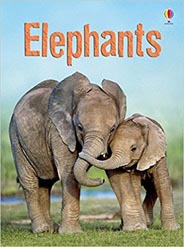 Usborne Beginners Elephants