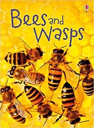 Usborne Beginners Bees and Wasps