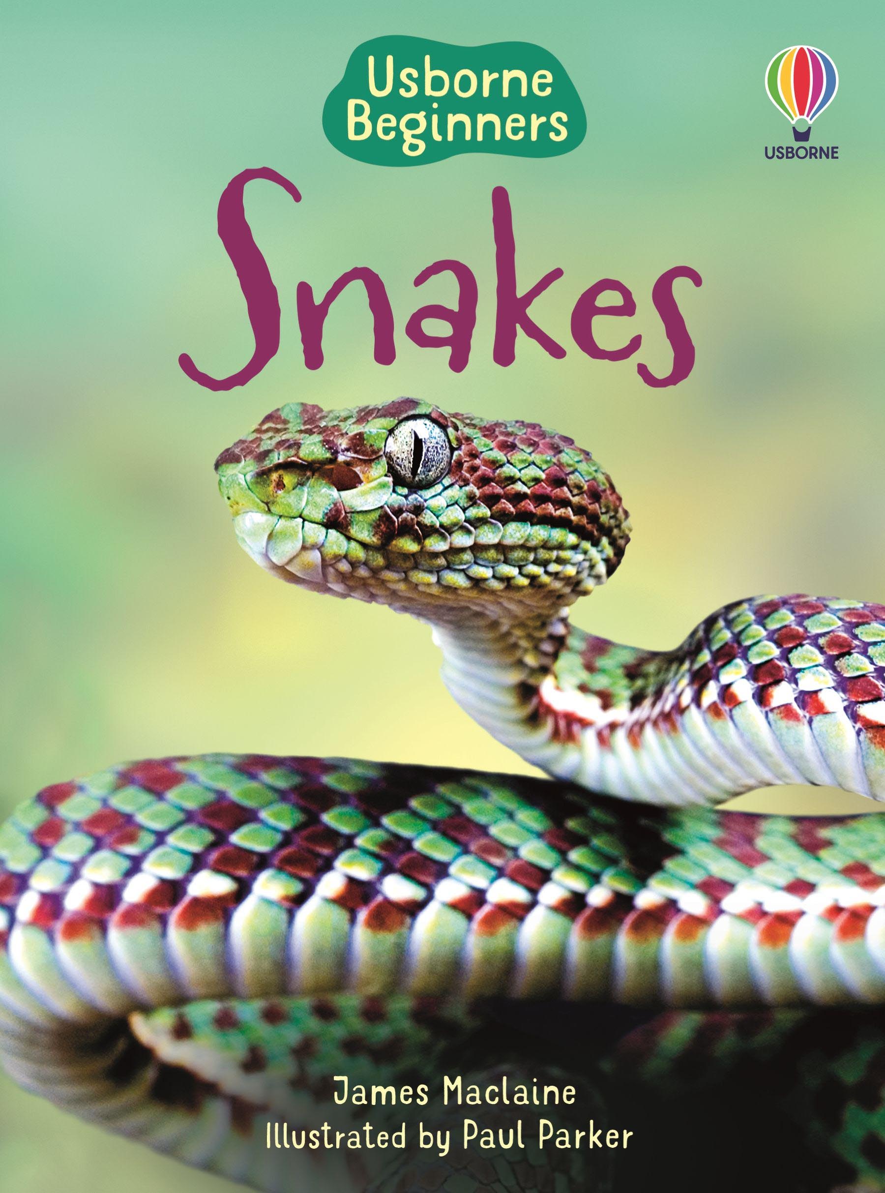Usborne Beginners Snakes