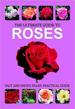 The Ultimate Guide to Roses