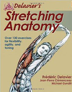 Delaviers Stretching Anatomy