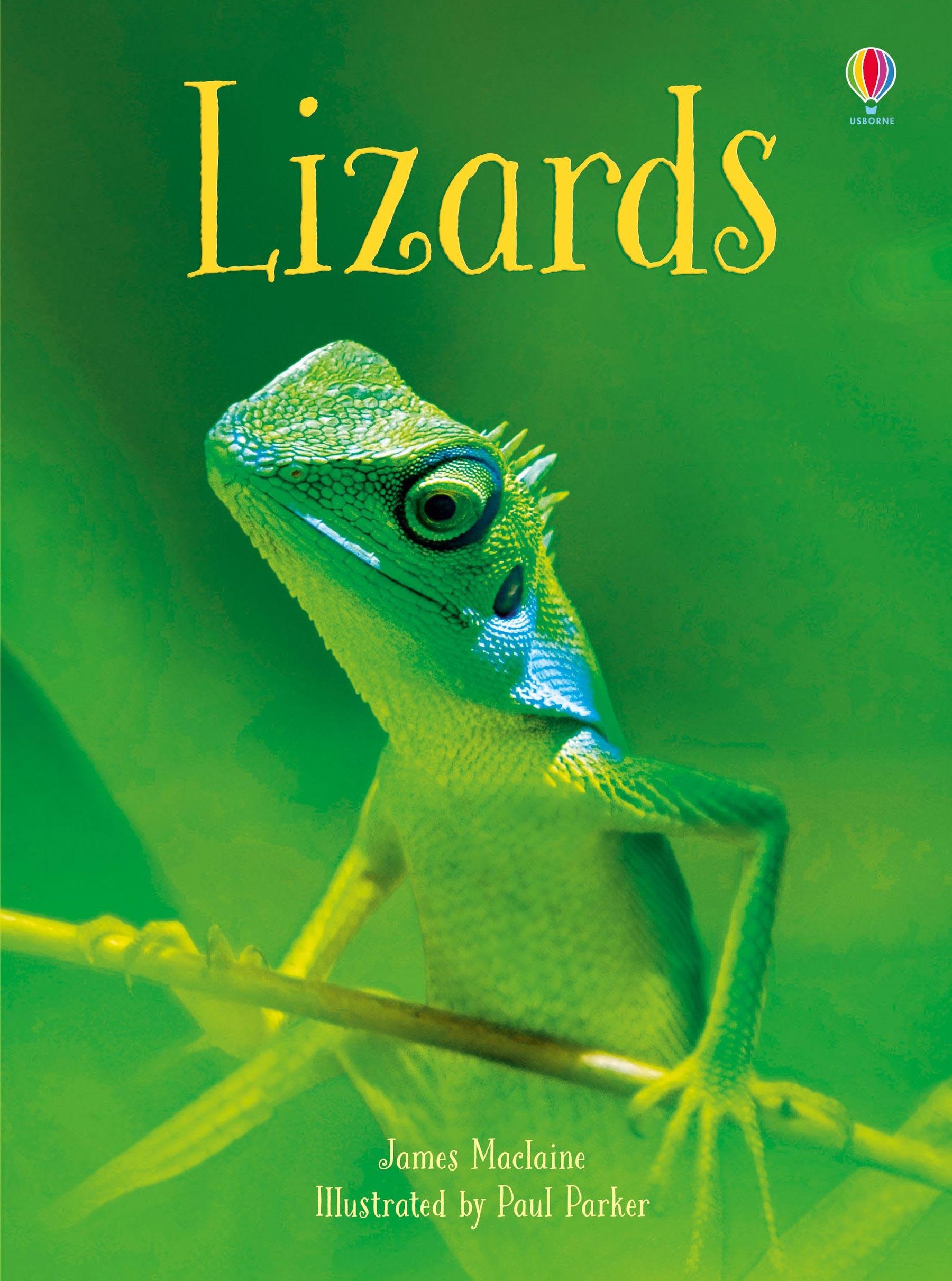 Usborne Beginners Lizards