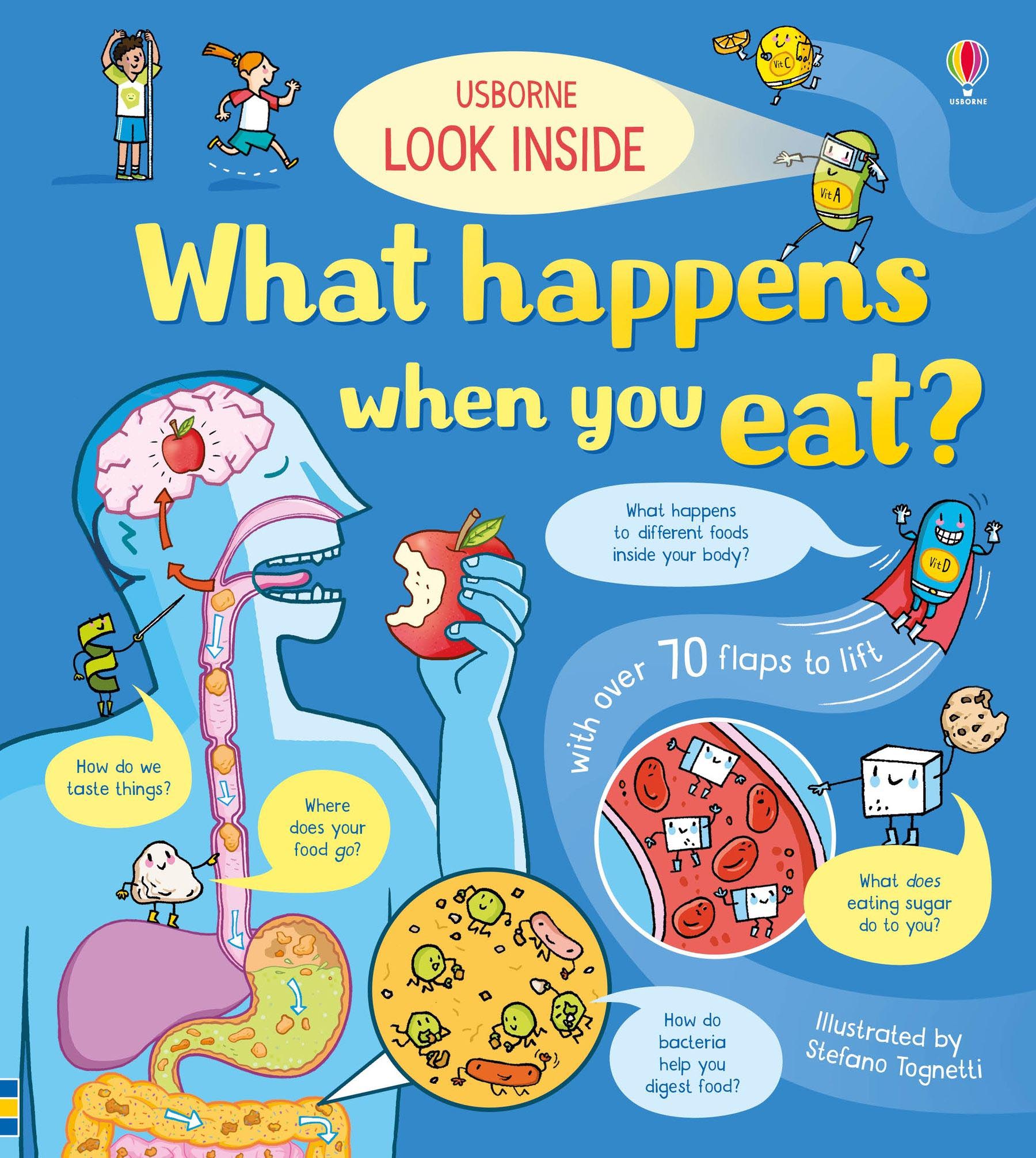 Look Inside What Happens When You Eat