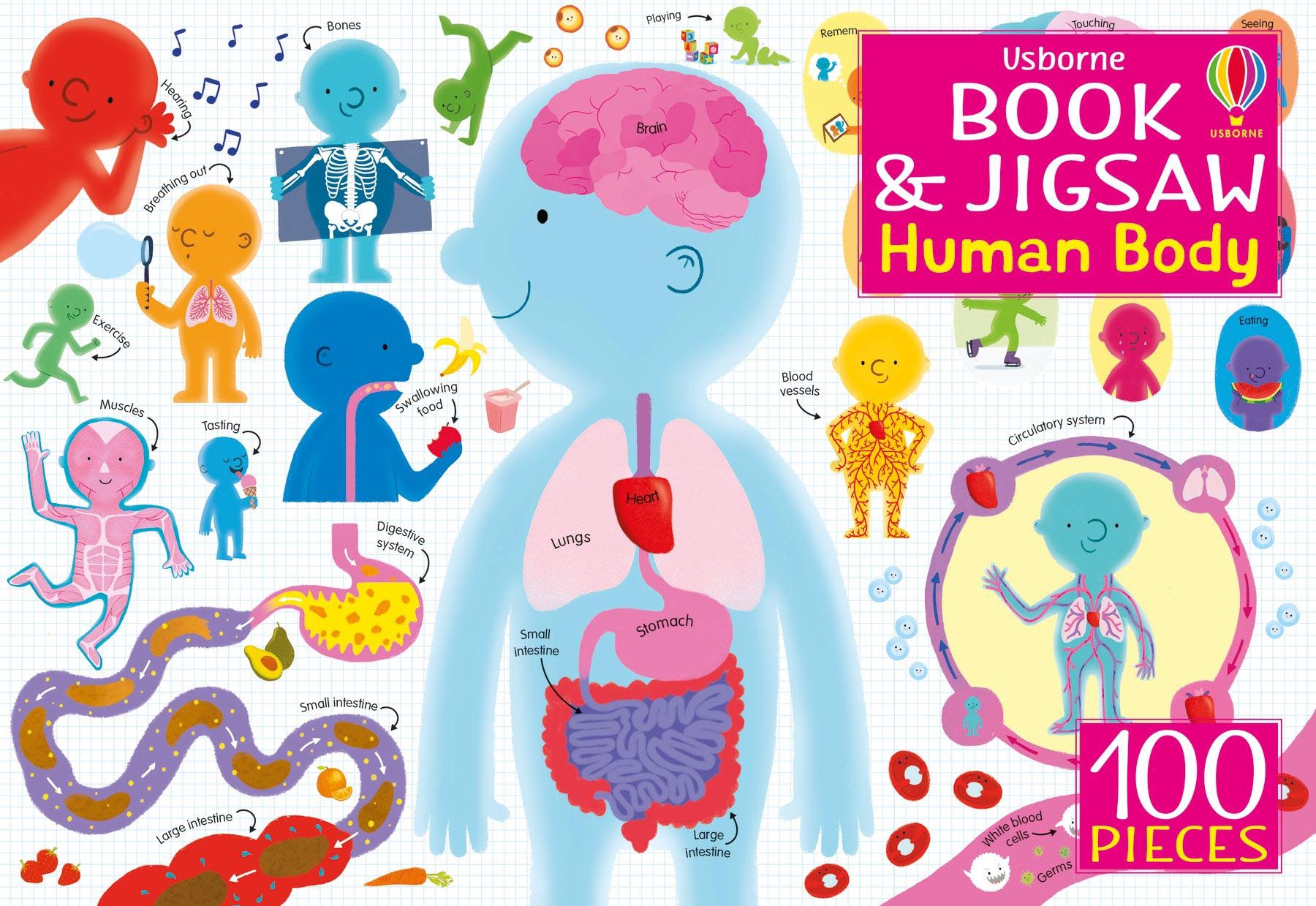 Usborne Book and Jigsaw Human Body