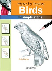 How to Draw Birds in Simple Steps