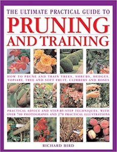 The Ultimate Practical Guide to Pruning & Training