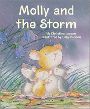 Molly and the Storm (Little Tiger Press)