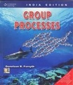 Group Processes