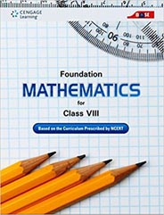 Foundation Mathematics for Class VIII