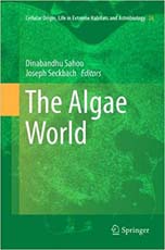 The Algae World