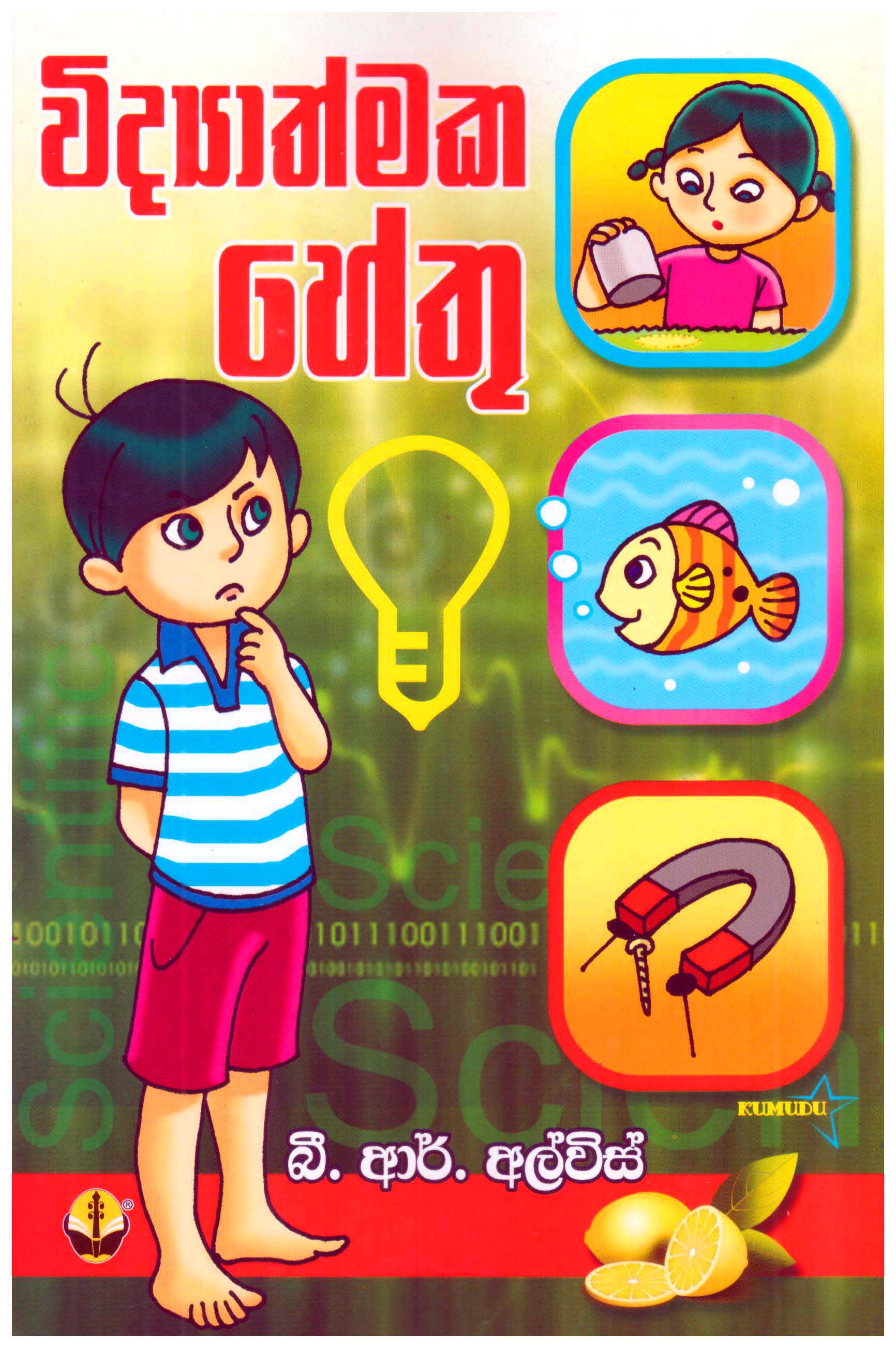 Vidyathmaka Hethu