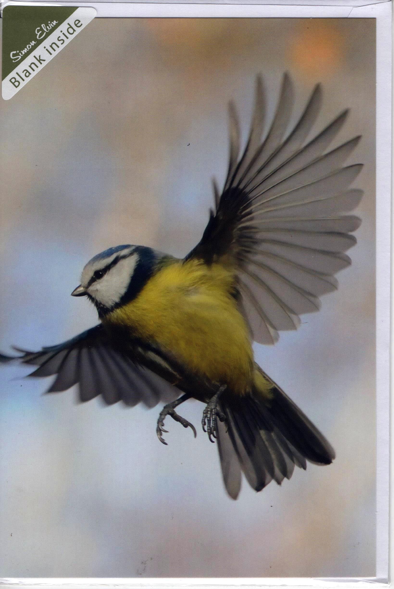 Simon Elvin Blank Card ( Bird )