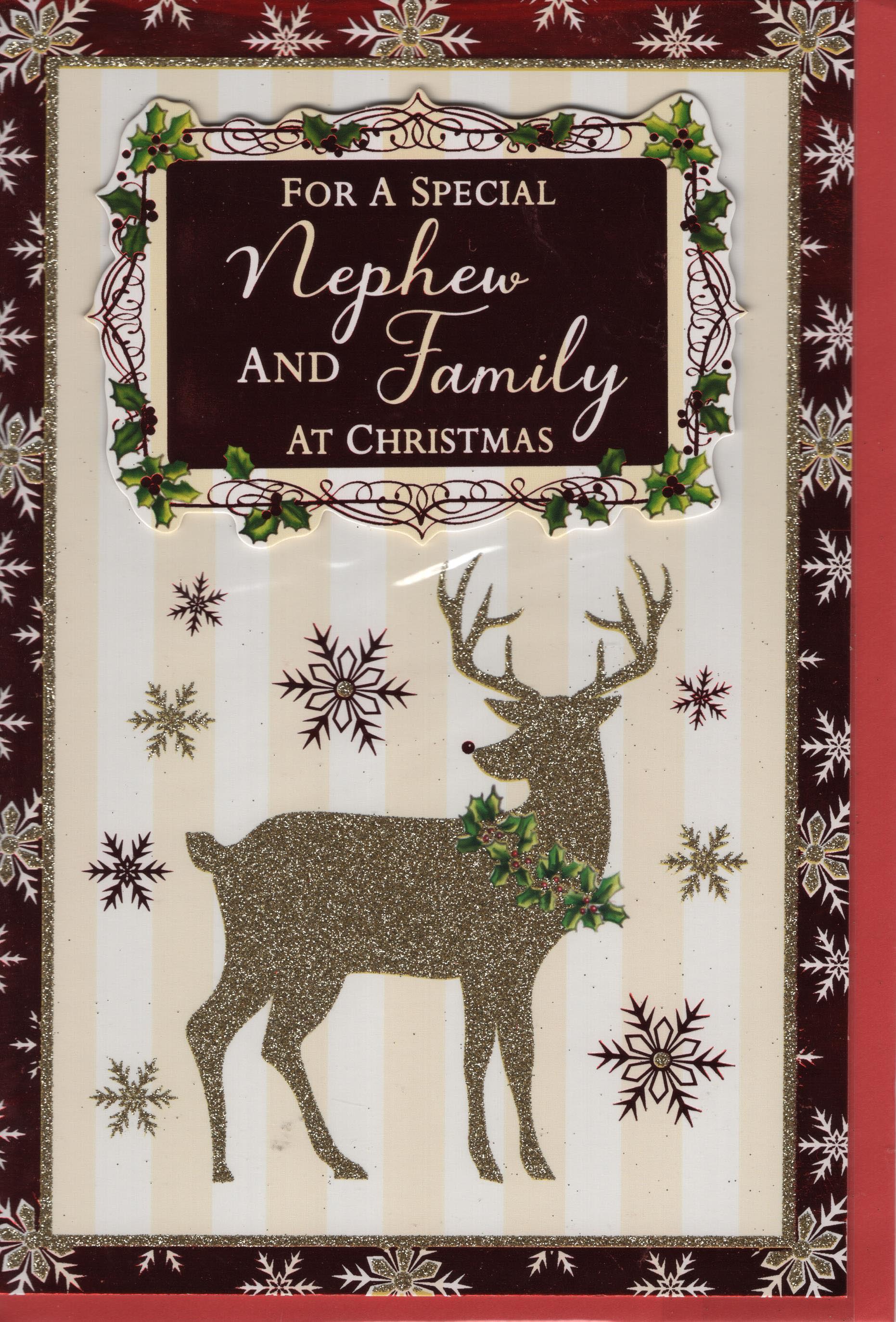 For a Special Nephew and Family at Christmas