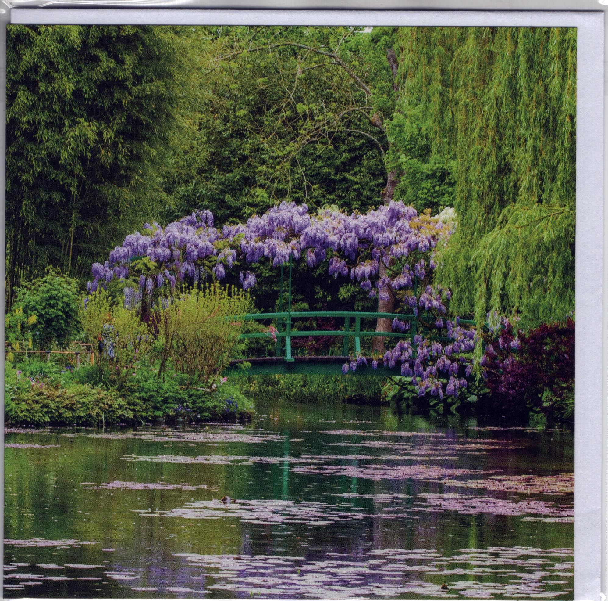 Blank Greeting Card (Rose Garden)