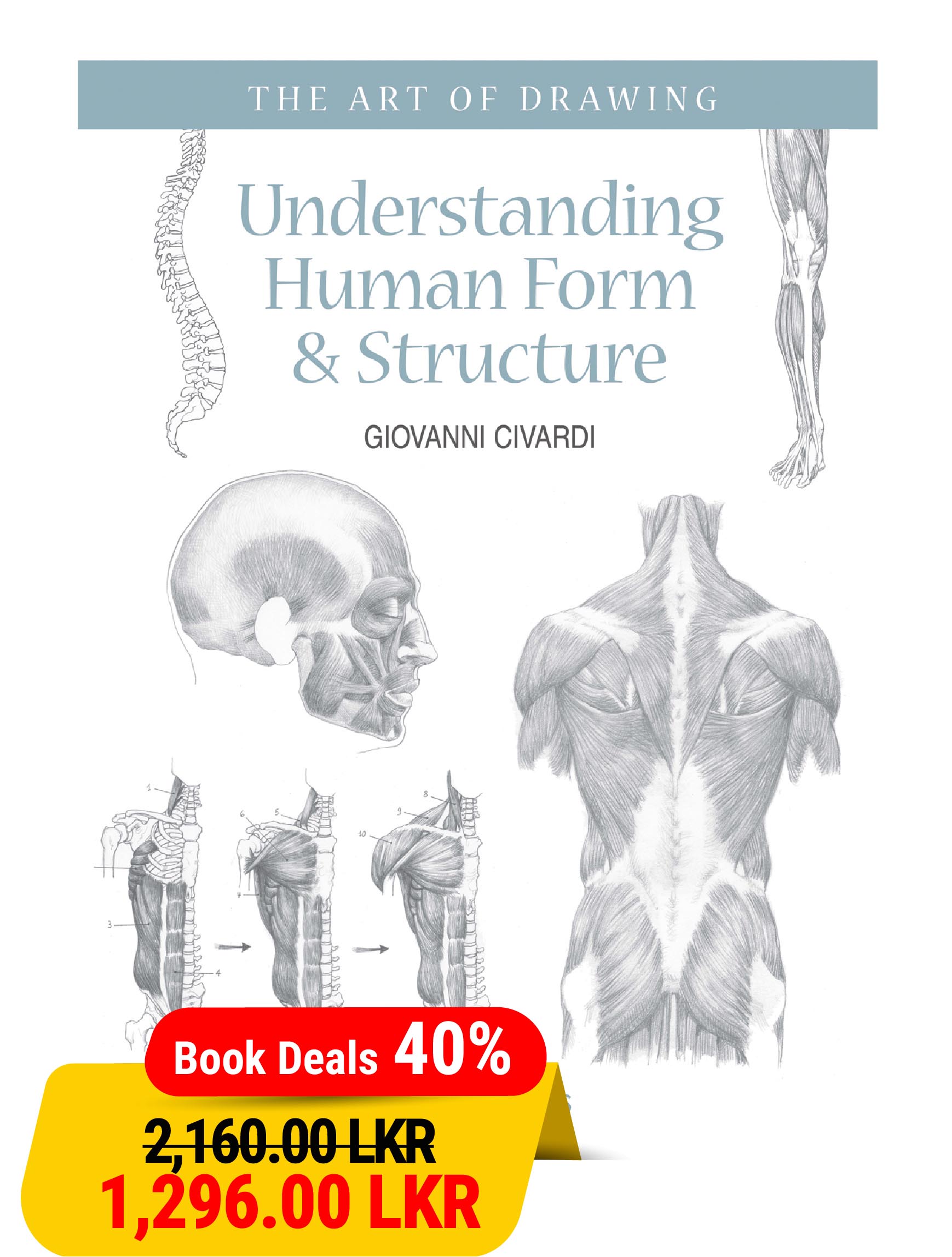 Understanding Human Form and Structure