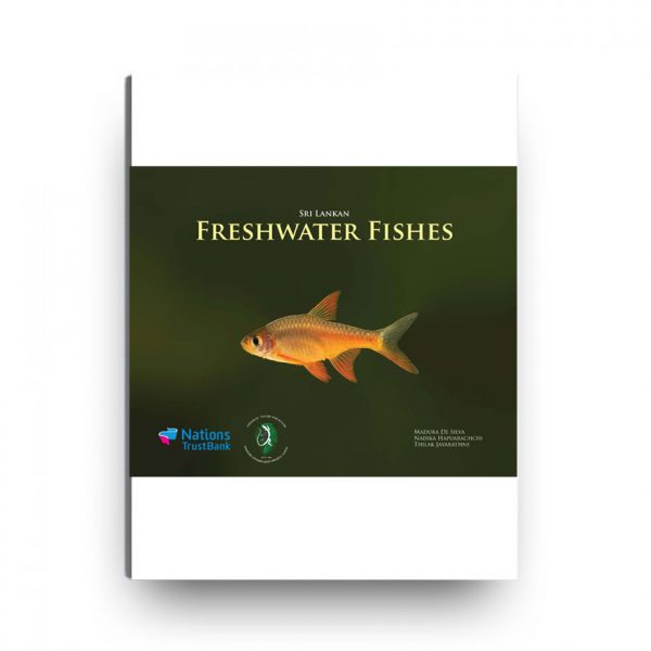 Nations Trust Bank Sri Lanka Freshwater Fishes 