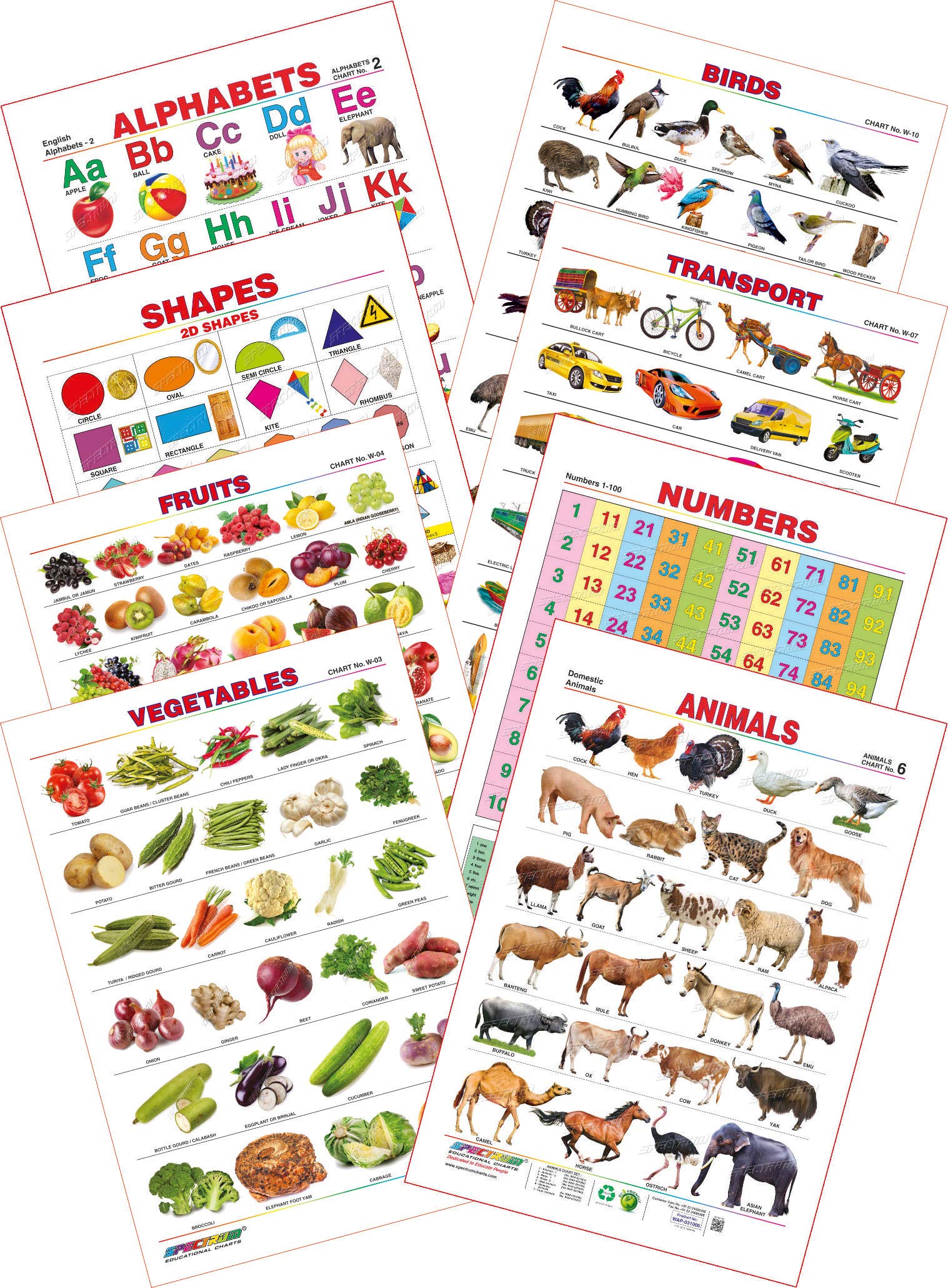 Susara Chart ( Vegetables, Fruit, Animals , Birds, Good Habits, English Alphabet, Tamil Alphabet) 