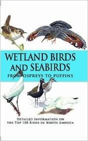 Wetland Birds and Seabirds: From Ospreys to Puffins