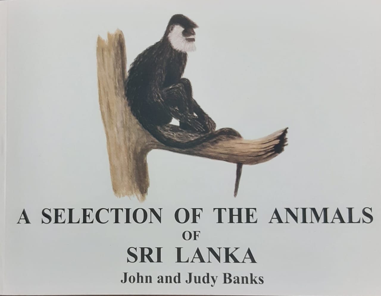 A Selection of the Animals of Sri Lanka