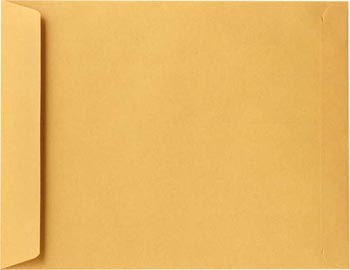 Brown Envelope (Size : 15" x 10") 1 Each